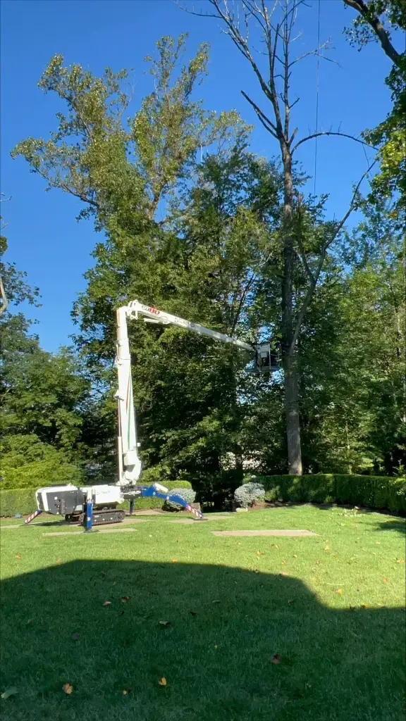 Cela DT80 Tracked Spyder Lift - Rental